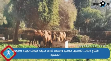 افتتاح 2025.. تفاصيل مواعيد وأسعار تذاكر حديقة حيوان الجيزة والفئات المعفية